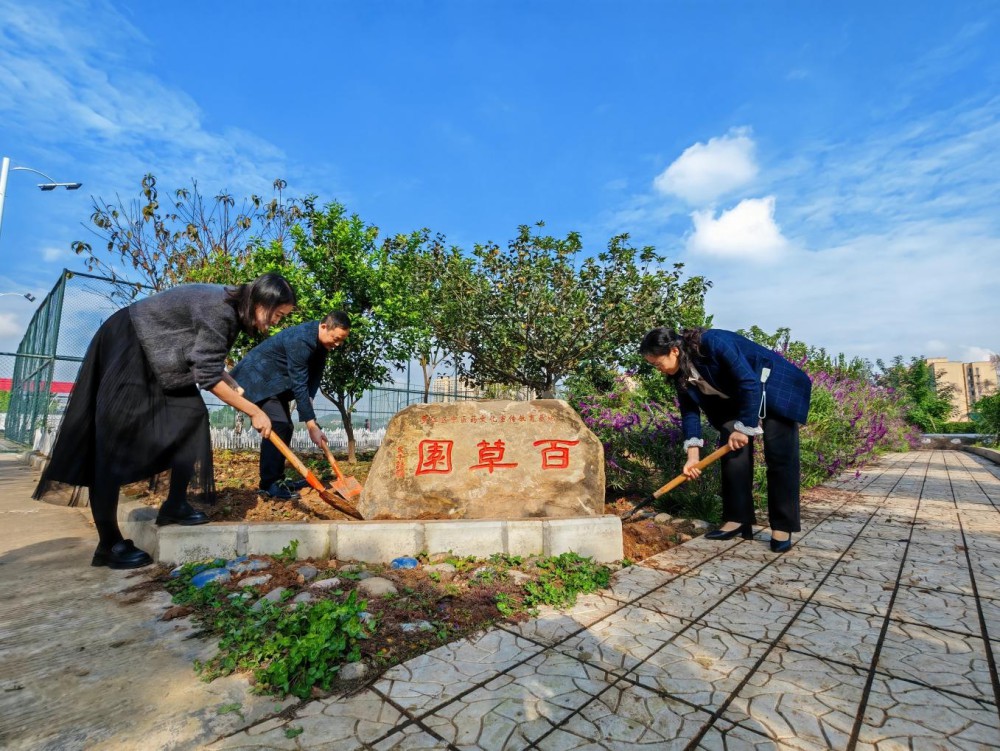 图片1.png 图片1.png