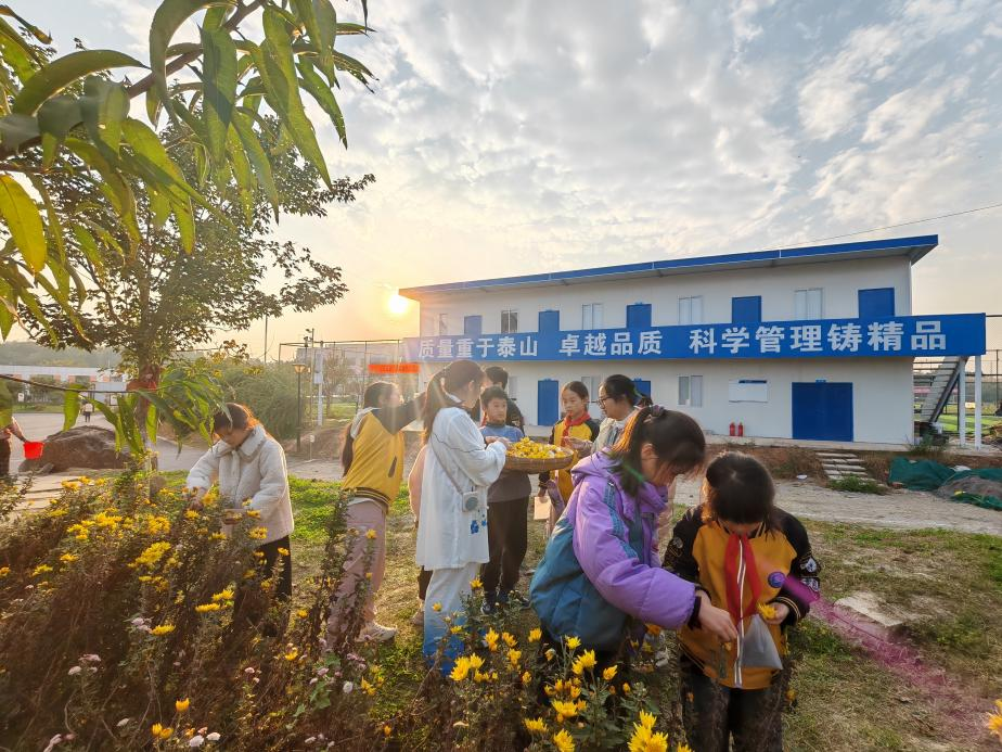 图片7.png 图片7.png