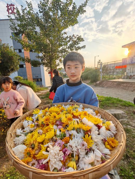 图片6.png 图片6.png